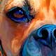 custom pet portrait davey