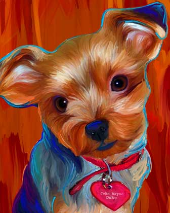 yorkie art