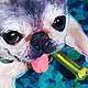 pug portrait