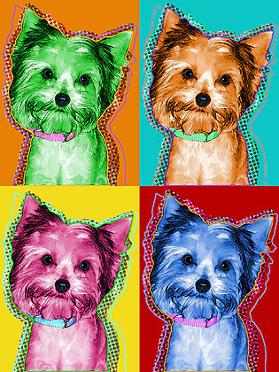 yorkie art
