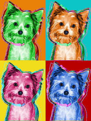 yorkshire terrier painting