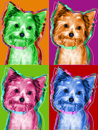 yorkie painting
