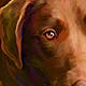 custom pet portraits