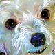 dog art portrait