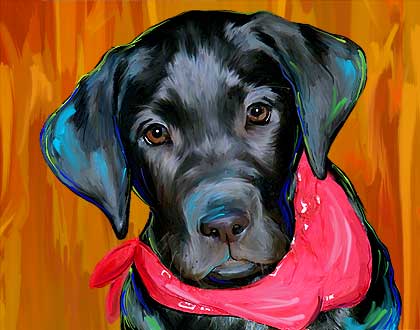 lab puppy