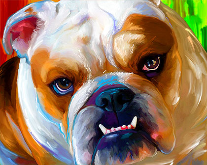 bulldog portrait