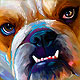 english bulldog art