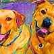 pet portraits
