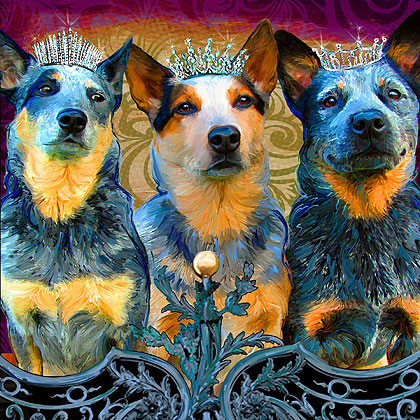 cod dog portrait