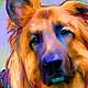 german shepherd art