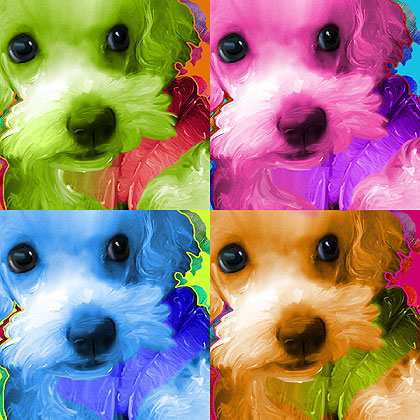 dog portrait