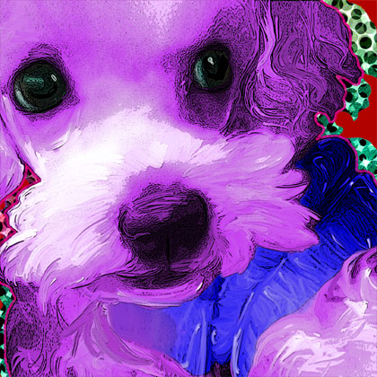 dog pop art