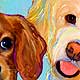 dog portraits