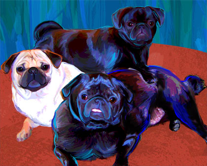 pug portrait