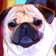 pug art