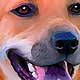 dog art