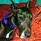 great dane art