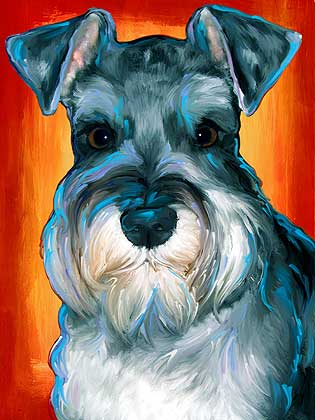 schnauzer art portrait