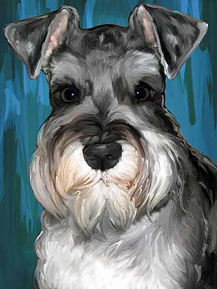 schnauzer art