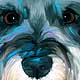 schnauzer portrait