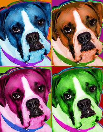 boxer pop art