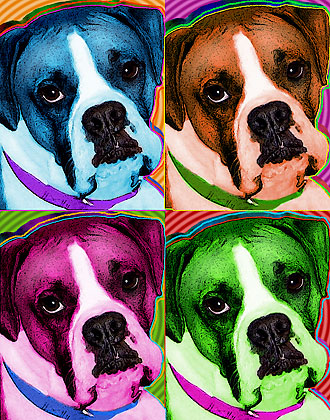 boxer dog art