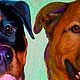 pet portraits