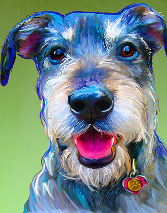 dog portrait