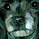 poodle portrait