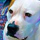 american bulldog art