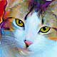 cat portrait