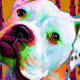 american bulldog art