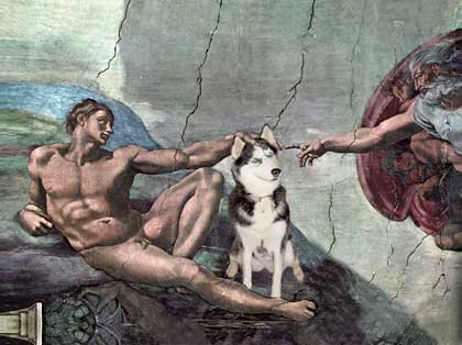 husky art