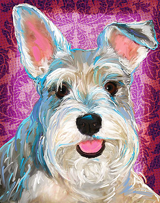 schnauzer portrait