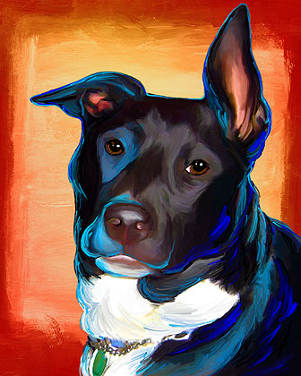dog portrait