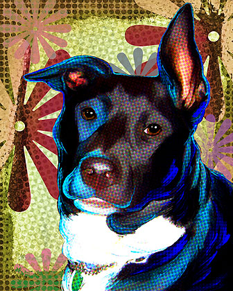 pet art