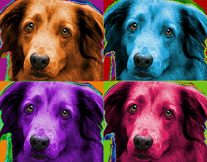 dog art
