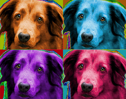 dog pop art