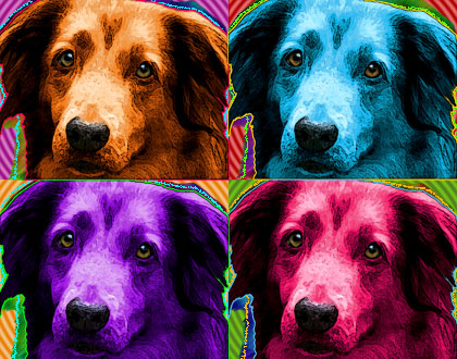 dog painting