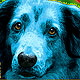 dog art