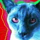 pop art cat portrait