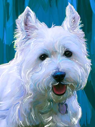 dog portrait