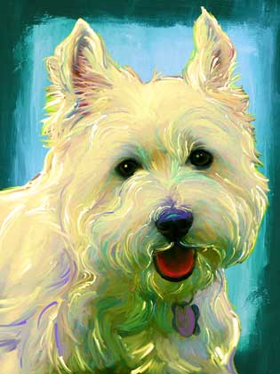 dog portrait