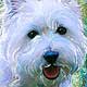 dog art