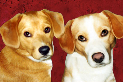 dog art