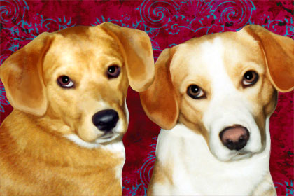 dog portrait