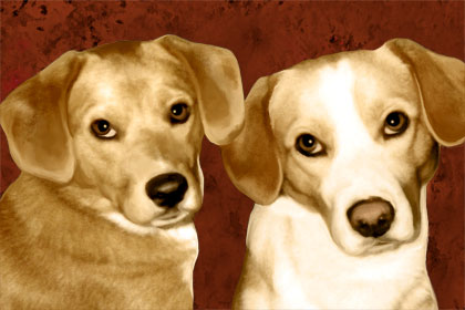 pet art