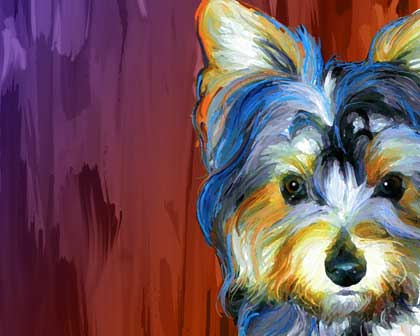 yorkie art