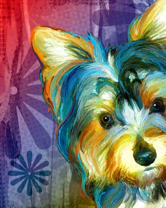 yorkie artwork