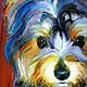 portrait yorkie